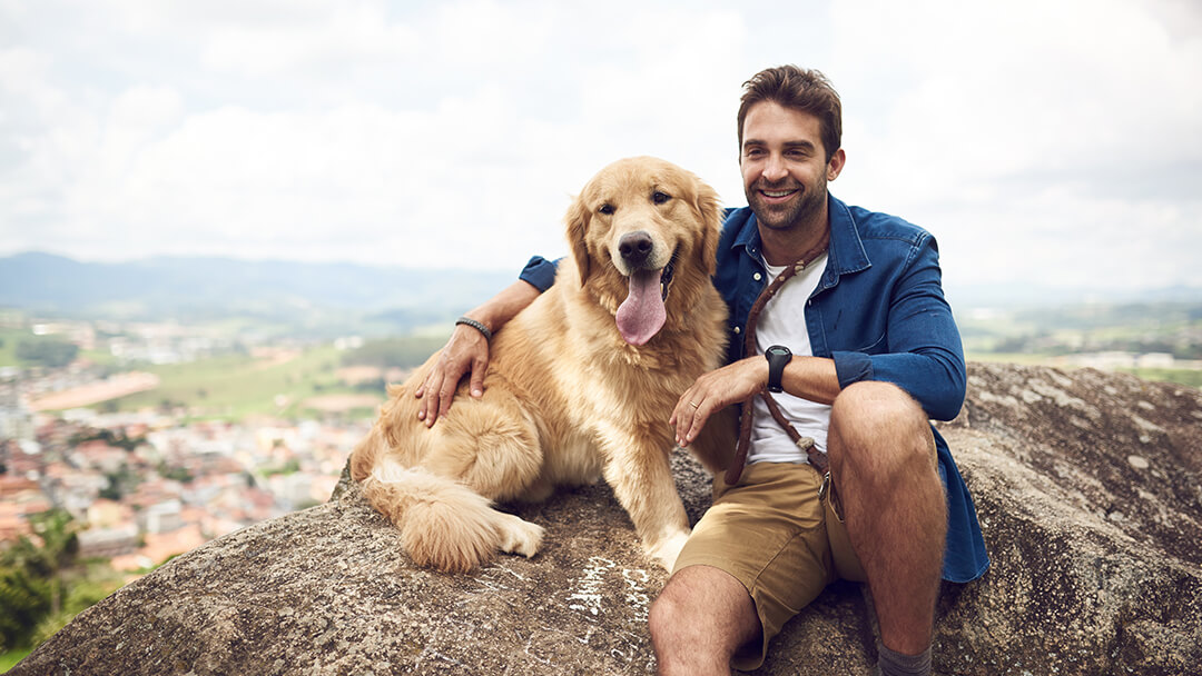 Šuo sėdi ant kalno su žmogumi
