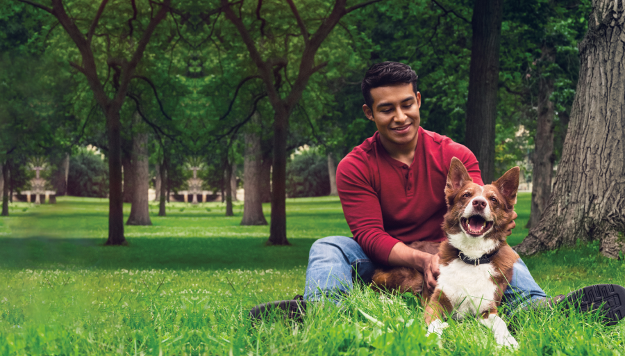 Vyras, tarp medžių sėdintis ant žolės, priešais jį guli šuo