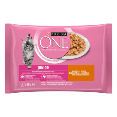 7613287795892 Šlapiasis kačių ėdalas „PURINA ONE® JUNIOR 1-12 months“, mini filė padaže, su vištiena