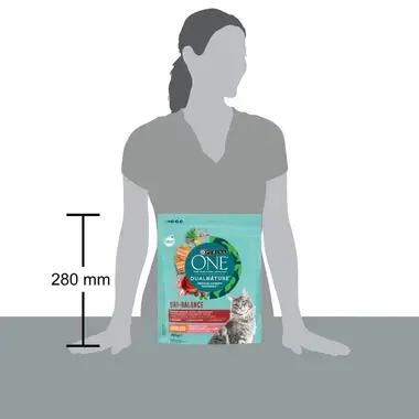 Sausasis kačių ėdalas PURINA ONE® DualNature™ Sterilcat, su SPANGUOLĖMIS ir lašišomis