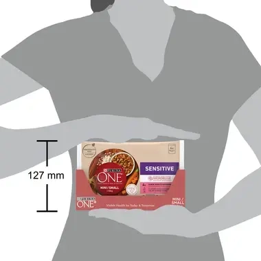 Šlapiasis šunų ėdalas PURINA ONE® MINI/SMALL SENSITIVE su lašišomis, ryžiais ir morkomis padaže