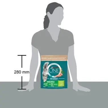 Sausasis kačių ėdalas PURINA ONE® INDOOR, sudėtyje gausu kalakutienos