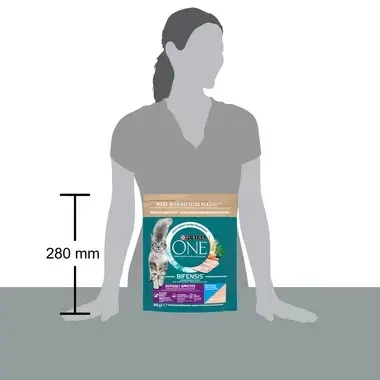 Sausasis kačių ėdalas PURINA ONE® DIFFICULT APPETITE, sudėtyje gausu menkių ir upėtakių