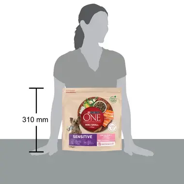 Sausasis šunų ėdalas PURINA ONE® MINI/SMALL SENSITIVE, sudėtyje gausu lašišų ir ryžių