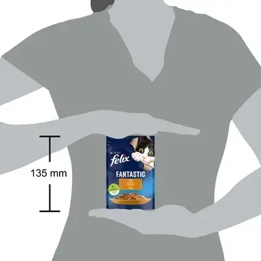Šlapiasis kačių ėdalas FELIX® FANTASTIC su vištiena drebučiuose
