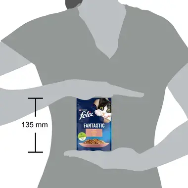 Šlapiasis kačių ėdalas FELIX® FANTASTIC su lašišomis drebučiuose