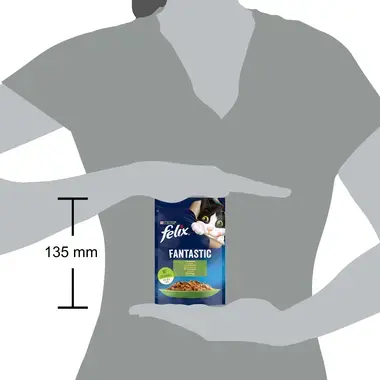 Šlapiasis kačių ėdalas FELIX® FANTASTIC su triušiena drebučiuose