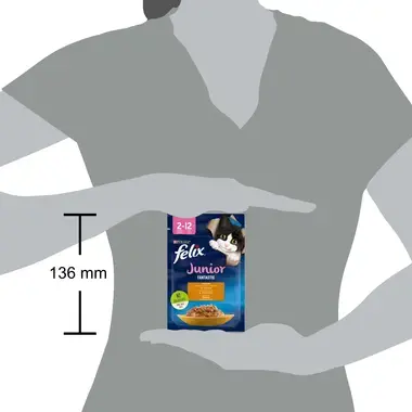 Šlapiasis kačių ėdalas FELIX® FANTASTIC JUNIOR su vištiena drebučiuose