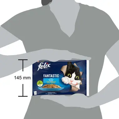 Šlapiasis kačių ėdalas FELIX® FANTASTIC, žuvų rinkinys drebučiuose (lašišos, plekšnės)