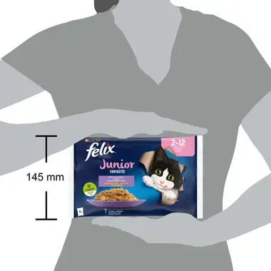 Šlapiasis kačių ėdalas FELIX® FANTASTIC JUNIOR su vištiena ir lašišomis drebučiuose