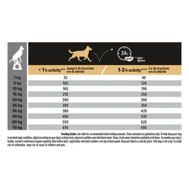 PURINA® PRO PLAN® Medium Adult Dog, sudėtyje gausu lašišų