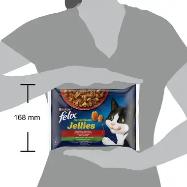 FELIX SENSATIONS Countryside Selection visavertis šlapiasis ėdalas suaugusioms katėms drebučiuose 4x85g
