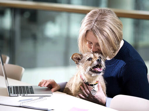 Moteris ir šuo prie nešiojamojo kompiuterio