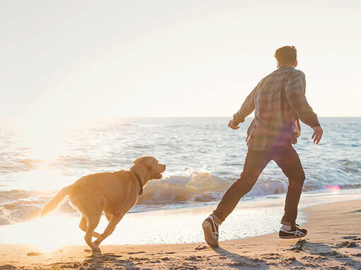 Vyras ir šuo bėgioja paplūdimyje