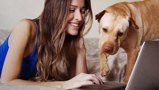 Moteris ir šuo prie nešiojamojo kompiuterio