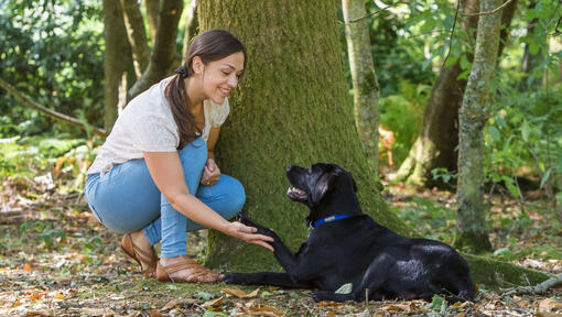 Moteris tupėjo su šunimi prie medžio