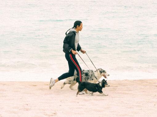 Mergina bėga su šunimis