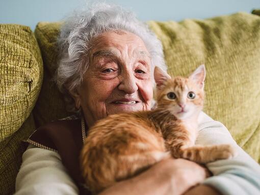 Sena moteris su katinu