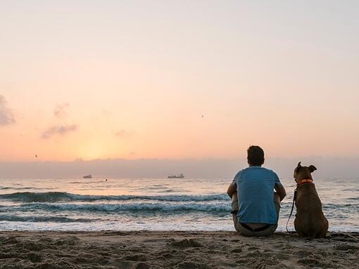 Vyras ir šuo žiūri saulėlydį
