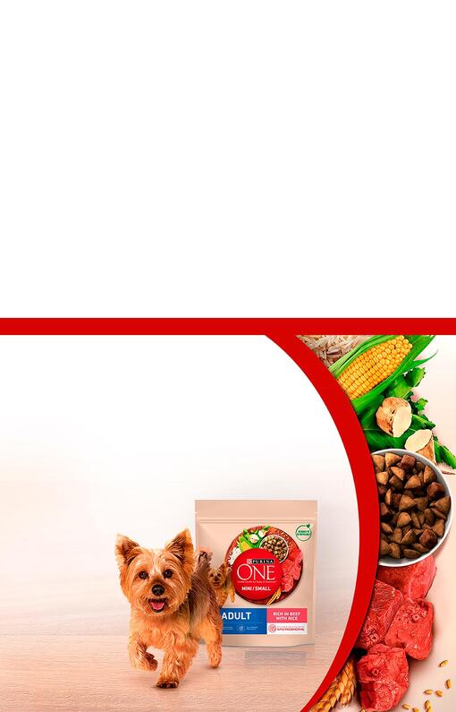 Atraskite „Purina ONE®“