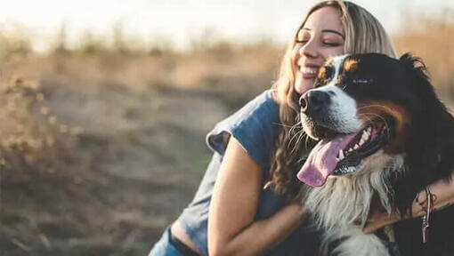 Purina One Dog 3 weeks