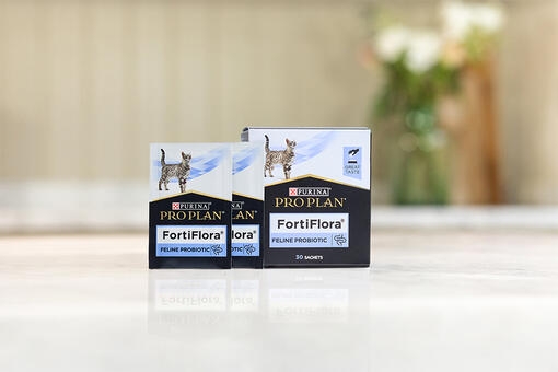 „Fortiflora“ produktai katėms