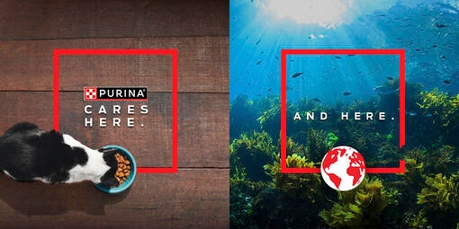 „PURINA EUROPE“ VANDENYNŲ ATKŪRIMO PROGRAMA
