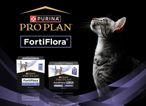 PRO PLAN FortiFlora