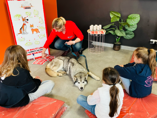 PECCRAM edukacijos „Pet School“ specializuotose parduotuvėse
