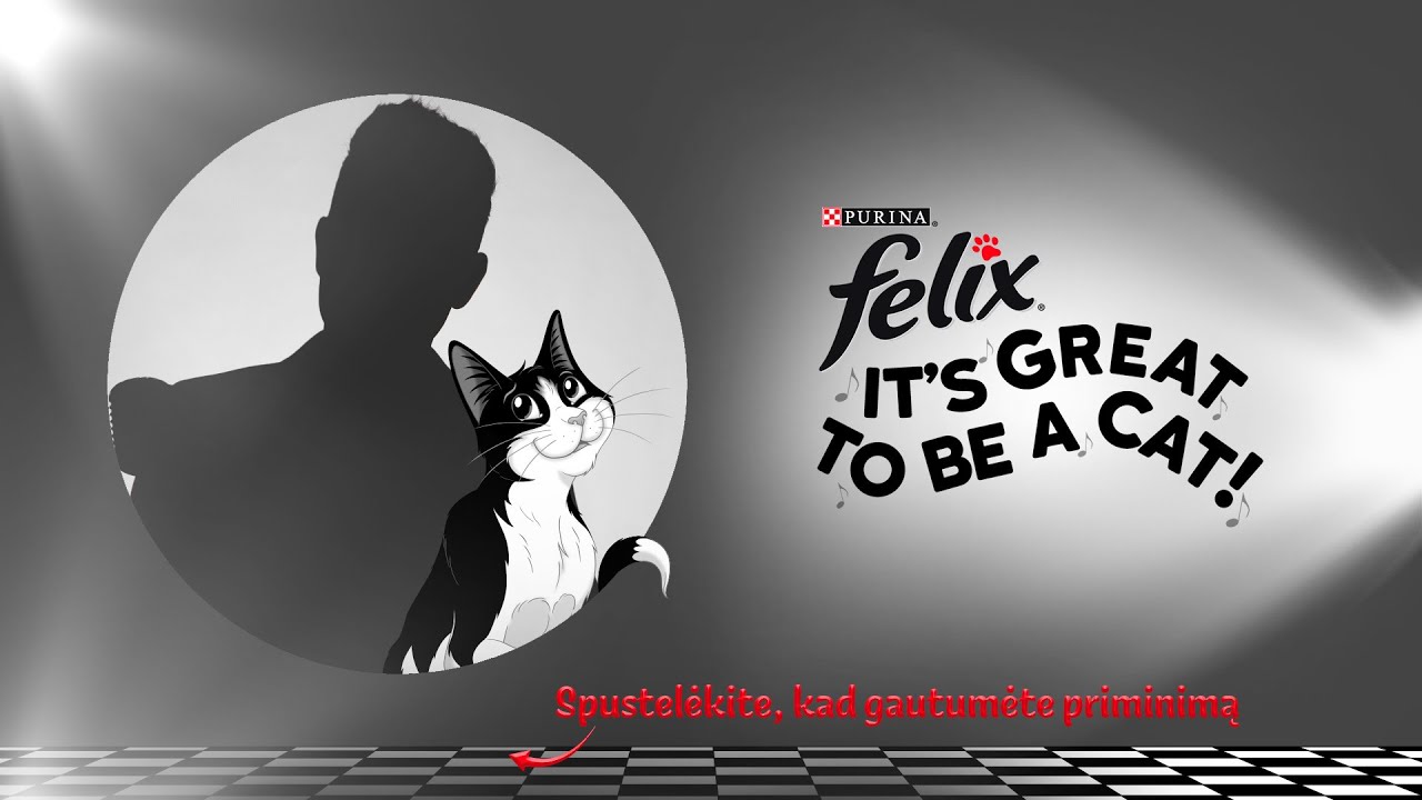 Felix katinu būti nuostabu!