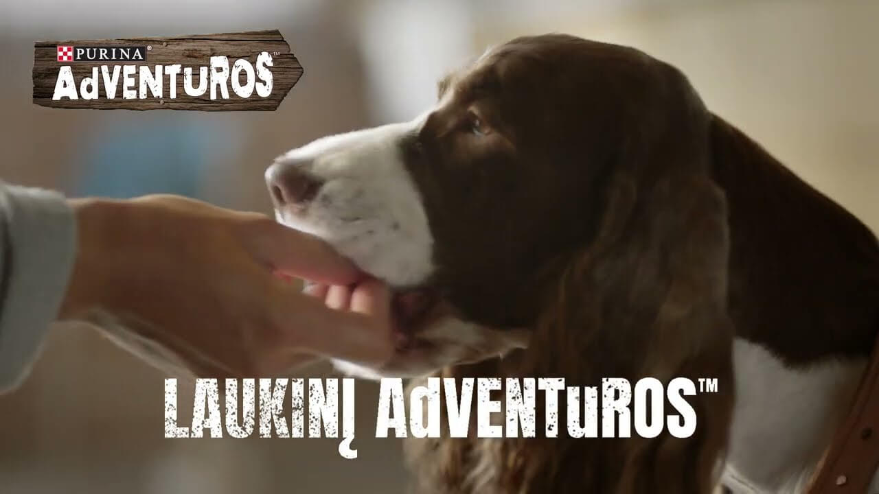 Adventuros 