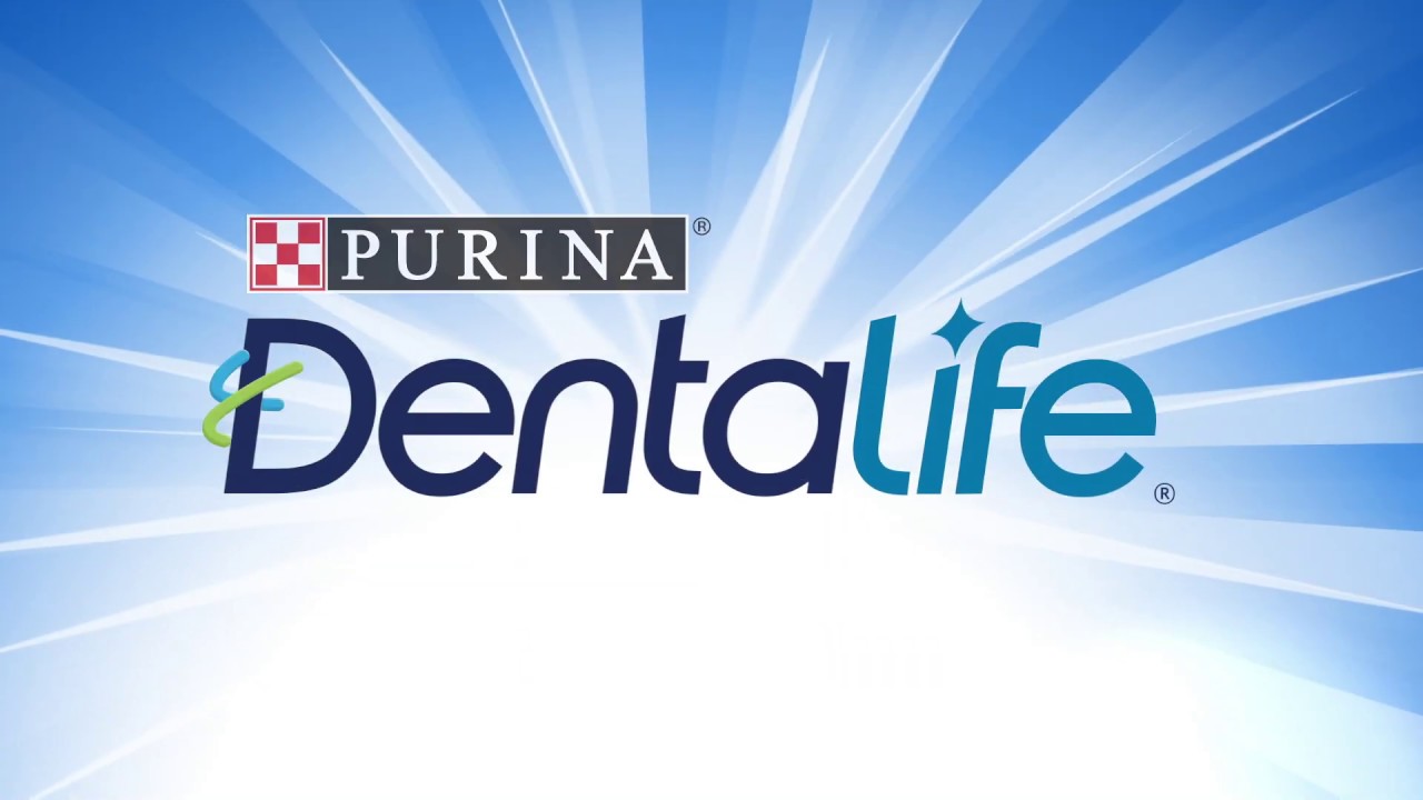 Dentalife